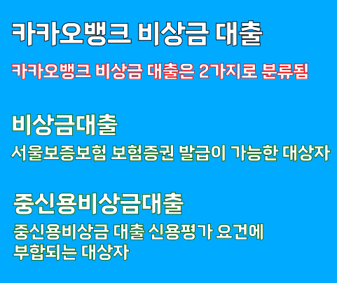 무직자 대출