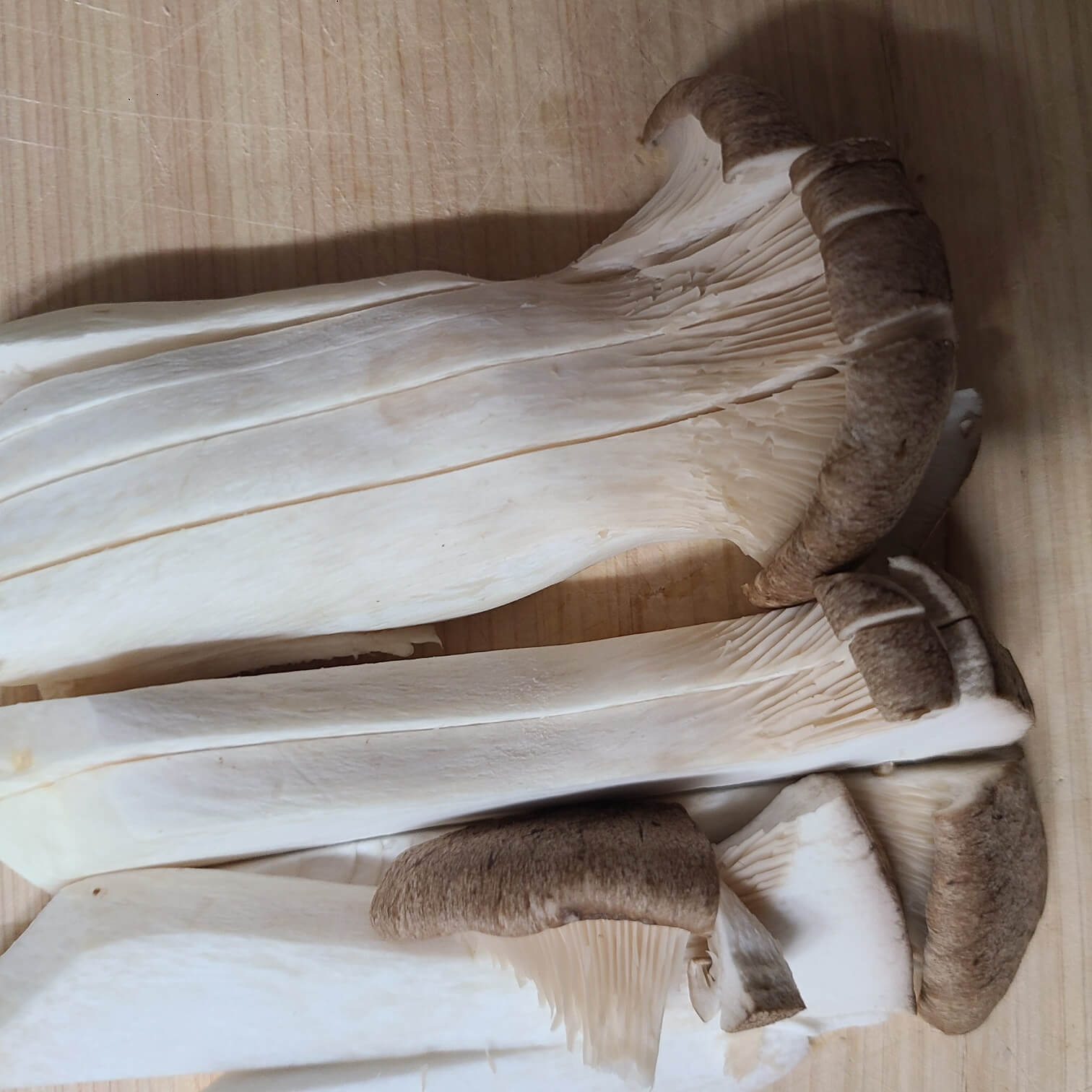 새송이버섯 손질