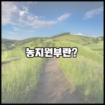 농지원부 정리 발급 정정 등록 기준 농지대장 차이_12