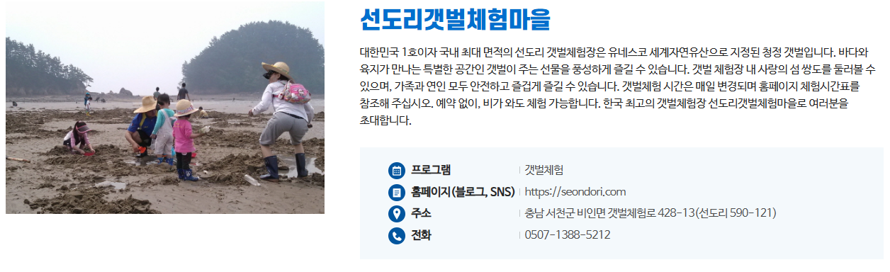 갯벌체험
