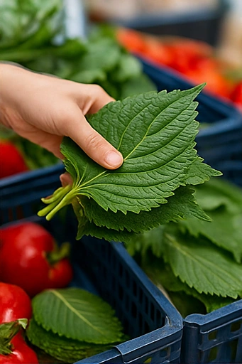 깻잎김치 맛있게 담그는법23