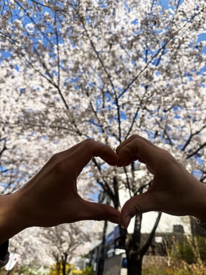 국립수목원 방문 후기｜포천 봄 나들이, 조용한 산책 코스로 추천 🌿