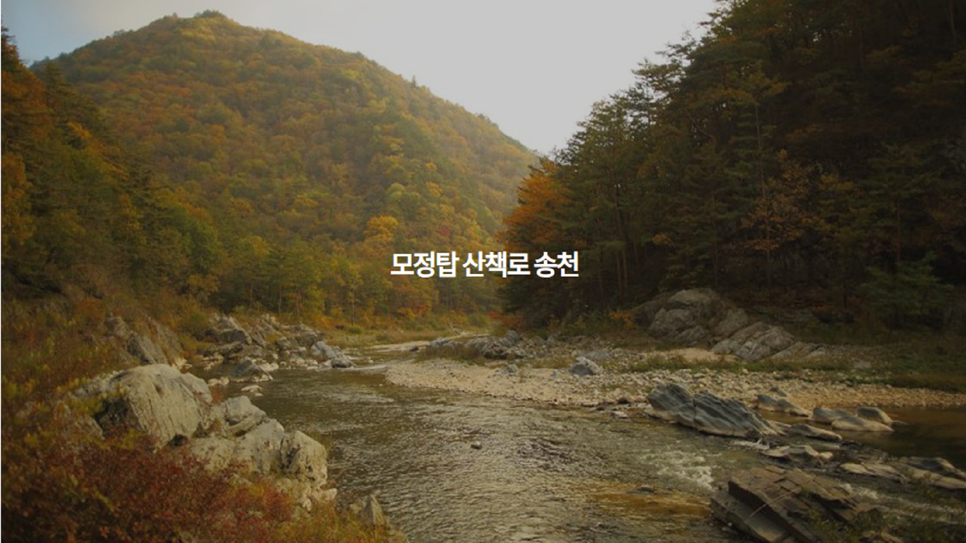 강릉 노추산 힐링 캠프 바로가기