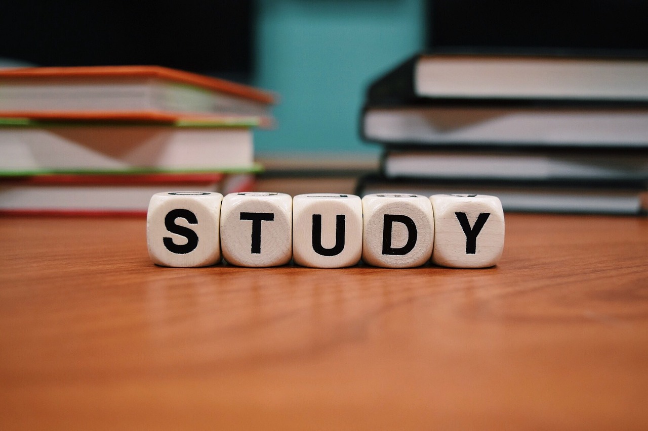 공부,study글자