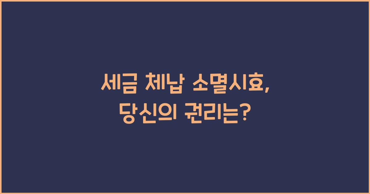 세금 체납 소멸시효
