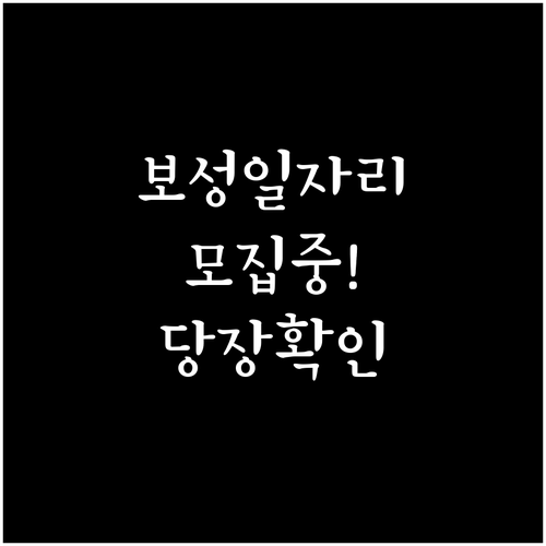 보성군 시니어클럽 노인일자리 참여 자..