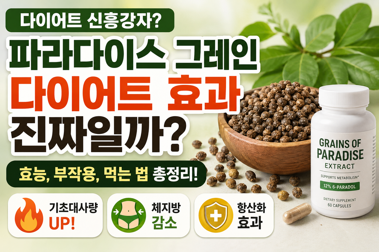 파라다이스 그레인의 총정리