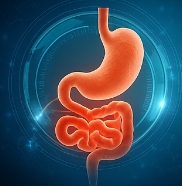 소화잘되는 음식