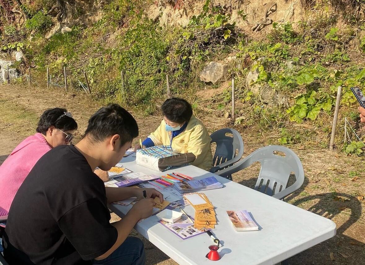 명성산 억새꽃축제