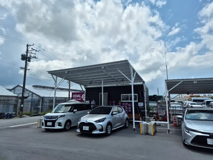 오키나와의달인-렌트카