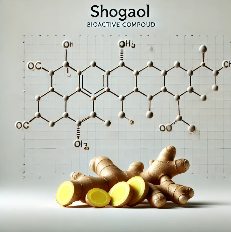 쇼가올 분자구조