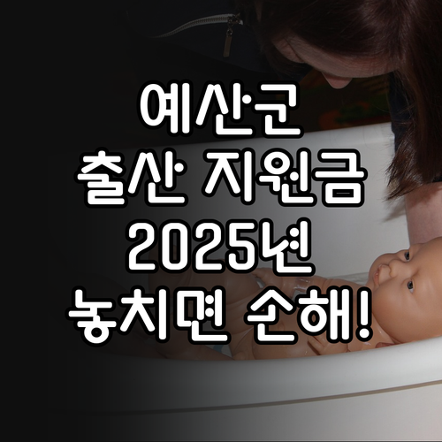 예산군 출산육아지원금 2025: 놓치..