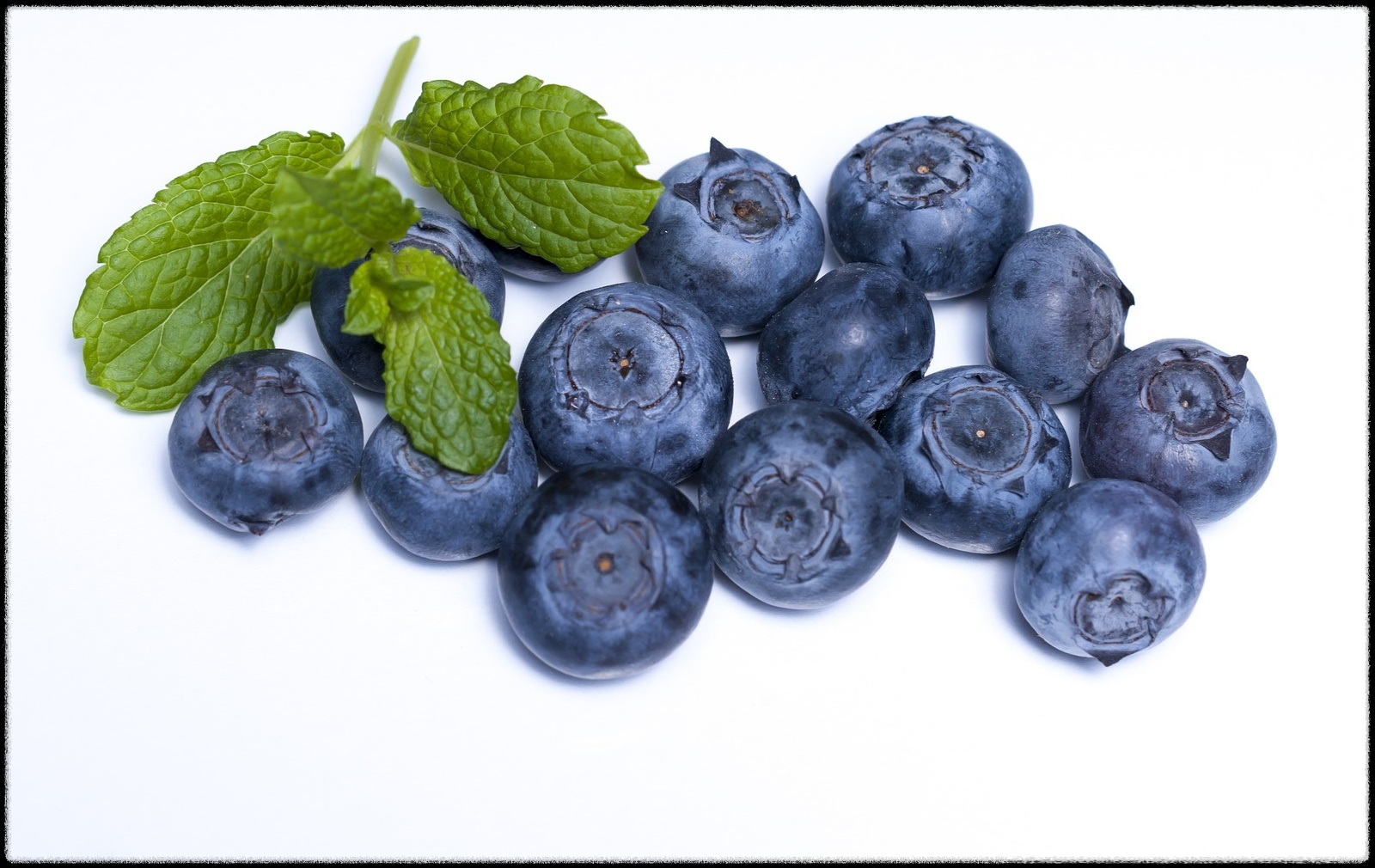 블루베리 효능 이미지_25