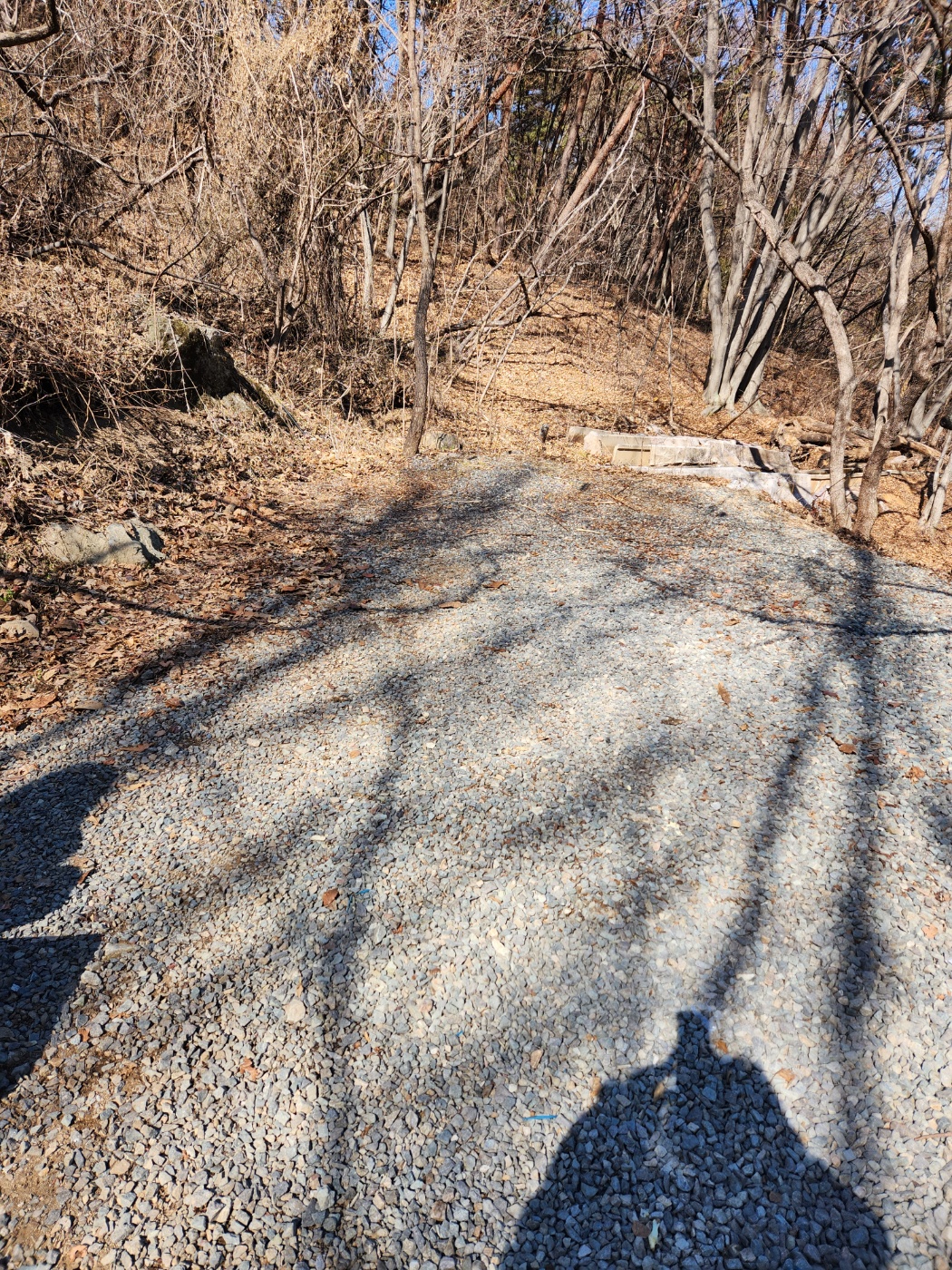 캠핑홀릭 오토캠핑 D6 사이트