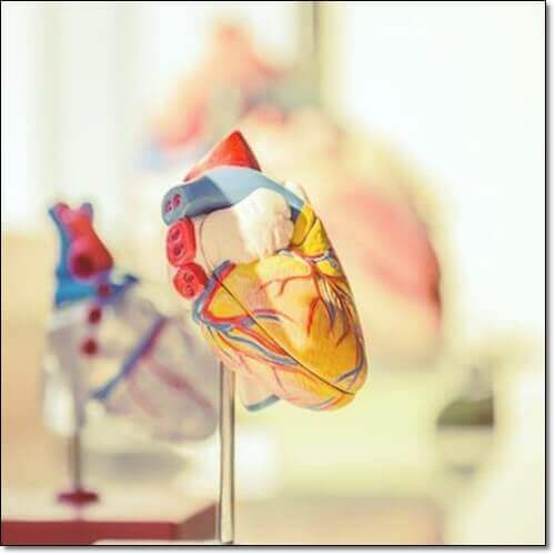 서맥 진단과 치료 관리