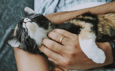 초등학생도 이해할 수 있는 세계 동물 공존 이야기