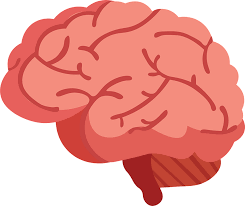 뇌진탕 초기증상