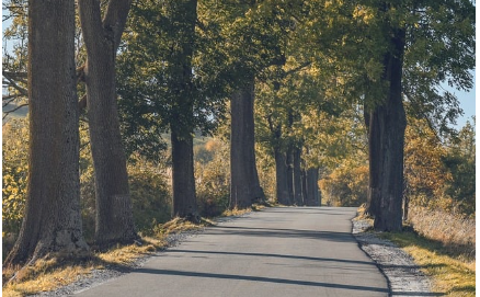 공주로 떠나는1박 2일 여행