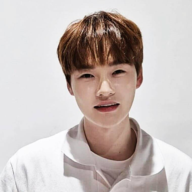 가수-박서진
