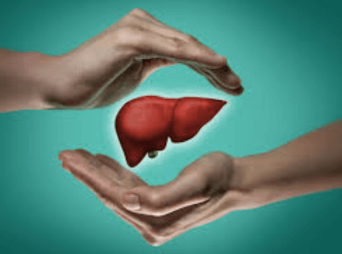 간에 좋은 영양제 추천 음식 10