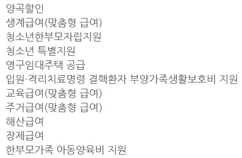 중복 사업