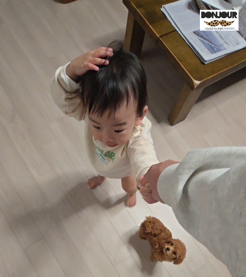 17개월 아기 걷기 연습 모습, 대근육 발달이 느린 아이의 손잡고 걷기