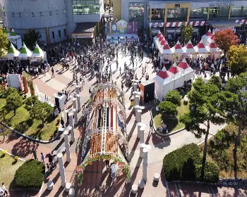 청도 반시축제_6