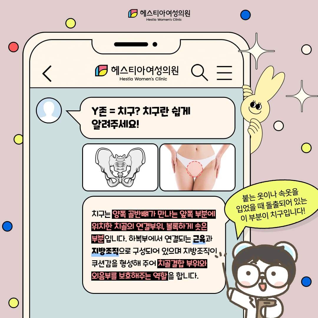 음부지방흡입 y존의 정확한 명칭은 무엇일까요?