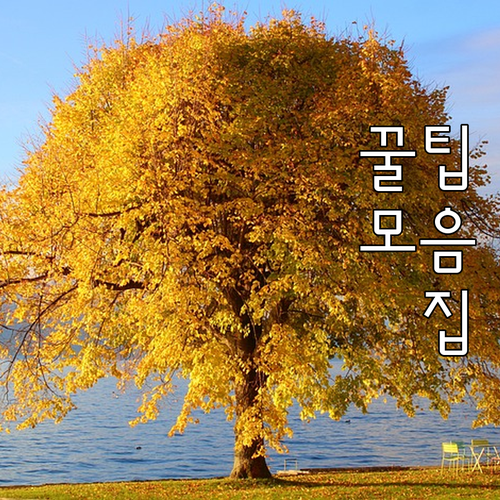 용산구 효창동 대형폐기물, 온라인으로..