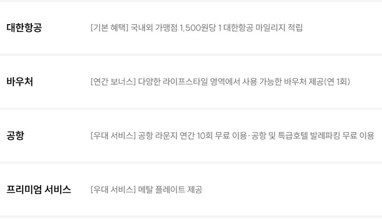 현대카드 the Red (항공 마일리지형)