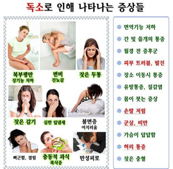 몸속 독소의 주요 증상