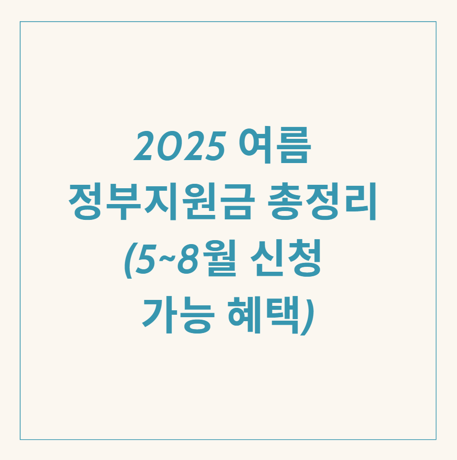 2025 여름 정부지원금 관련 이미지