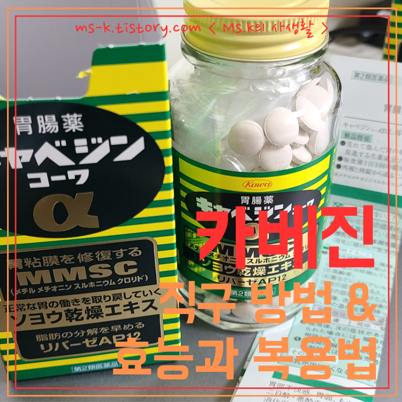 카베진 직구&#44; 할인 구매 방법&#44; 내돈내산 카베진 효능&#44; 복용법&#44; 부작용&#44; 장기복용