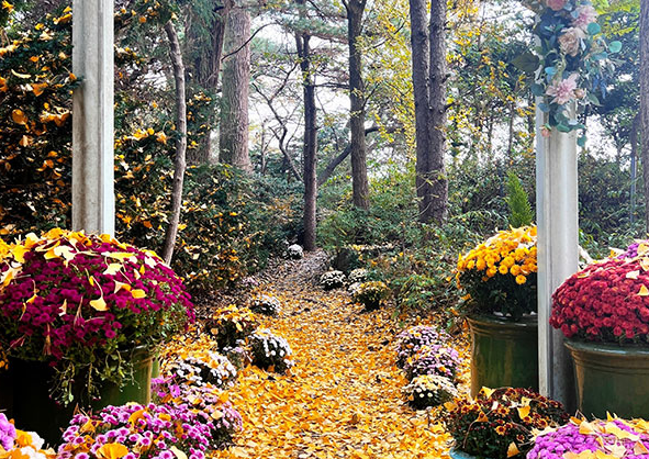 벽초지 가을 단풍