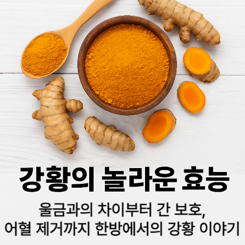 강황 효능