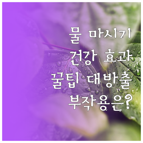 수분 섭취 A to Z: 효과, 방법..