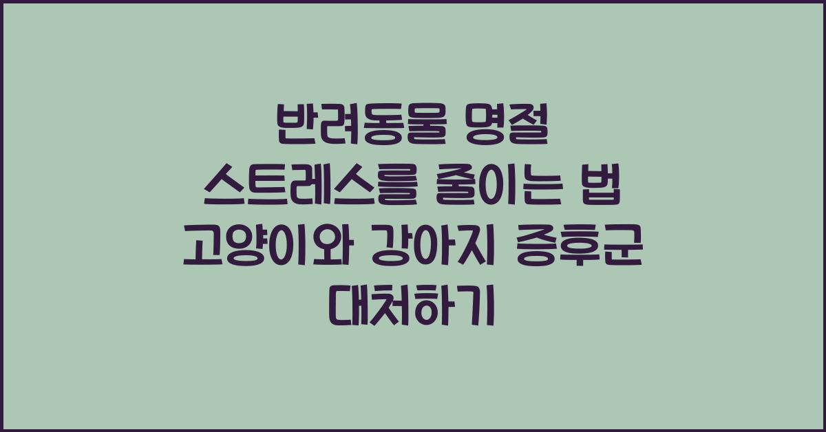 반려동물 명절 스트레스