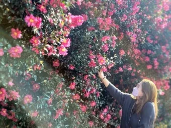 제주도 서귀포 남원 큰엉해안경승지 한반도 지형 포토존과 여행 꿀팁으로 정리_2