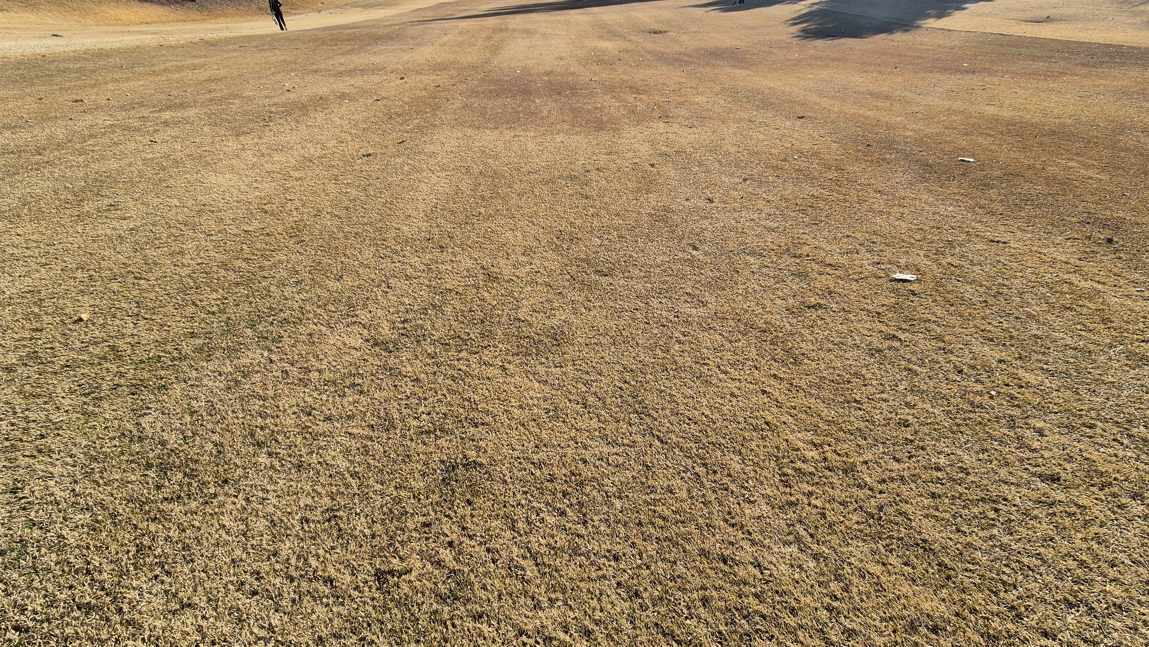 88cc 서코스 라운드 코스관리상태