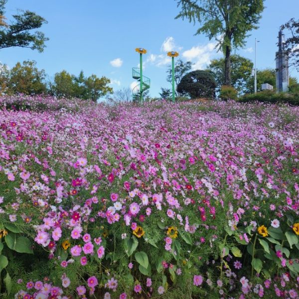 남산공원