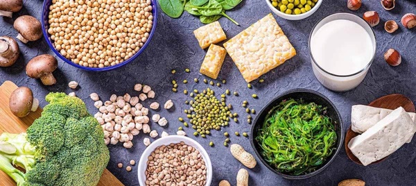 에스트로겐이 많은 음식