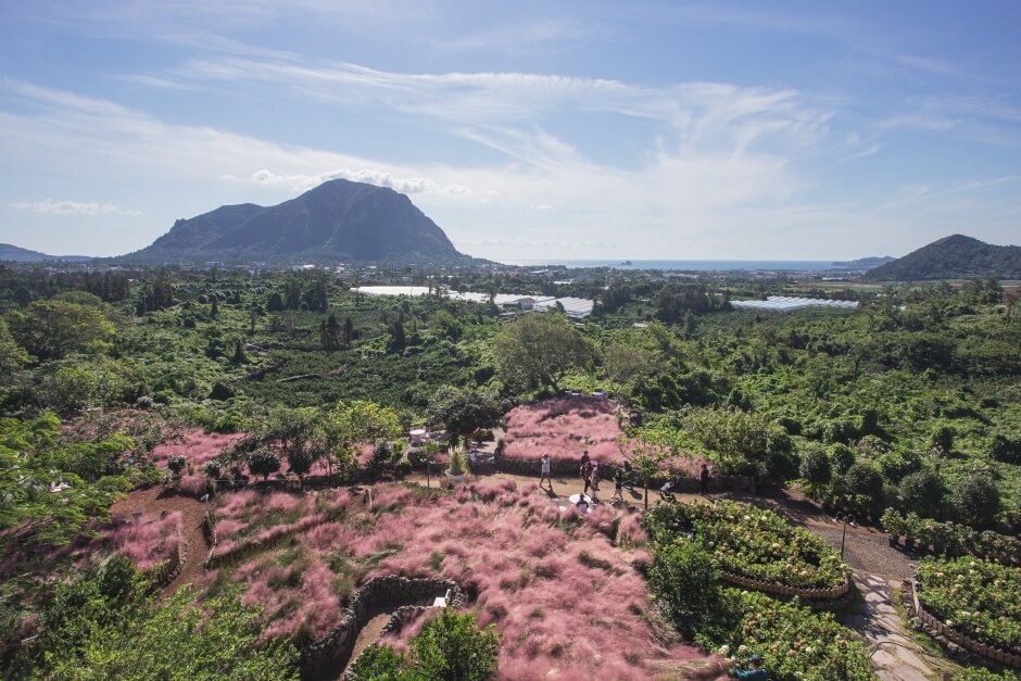 전국 가을축제 일정