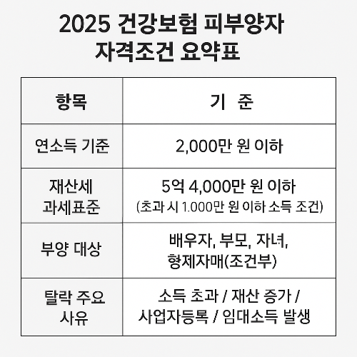 2025 건강 보험 피부양자 자격조건 요약표 이미지