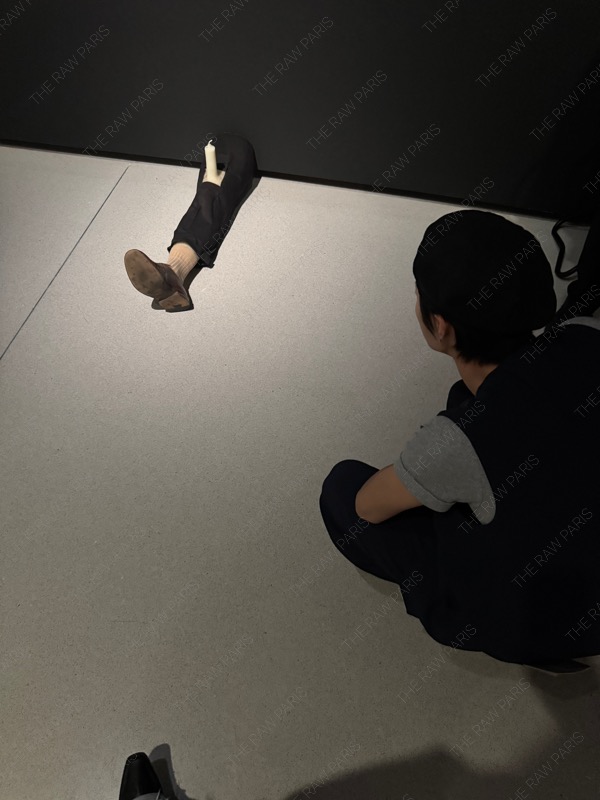 한국 모델 korean model