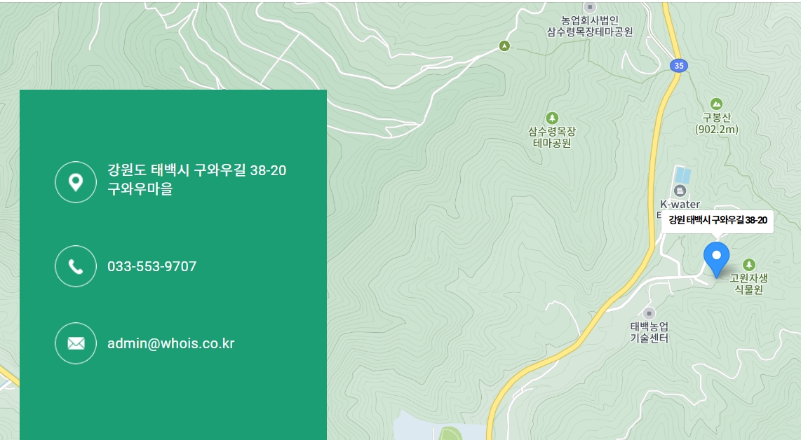 2025 강원도 태백 해바라기 축제 정보, 태백 여행 꿀팁