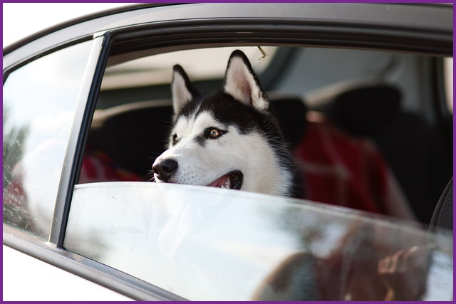 내일배움카드 신청자격