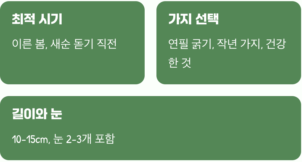 언제, 어떤 가지를 골라야 할까?