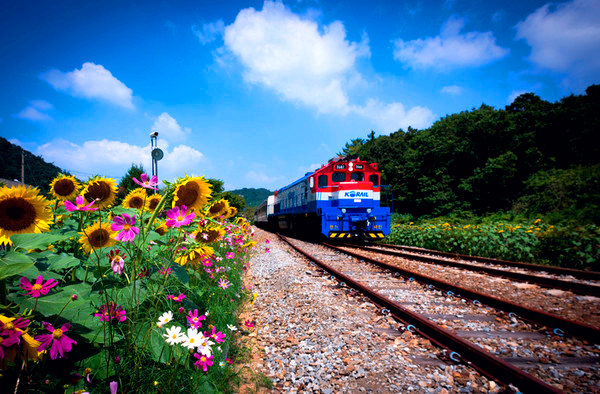가을철도 할인 프로모션