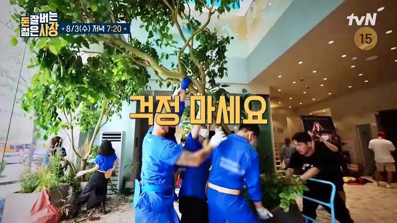 돈 잘버는 젊은사장 식물 인테리어로 부자가 되다 '억' 소리 나는 플랜테리어 조경설계 실내조경 식집사 서장훈 주우재 추천 소개