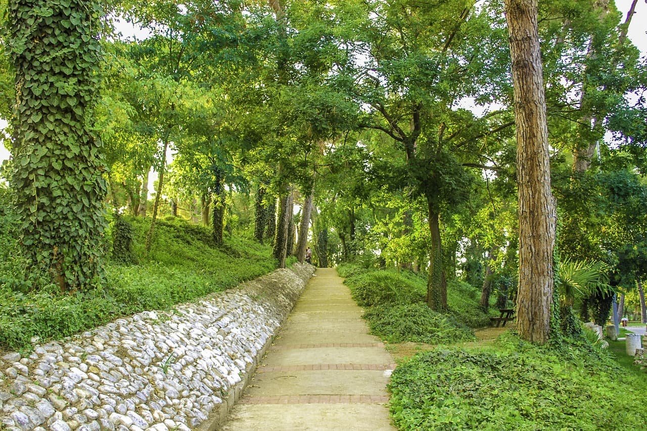 뇌를 이해하면 우울을 이겨낼 수 있다